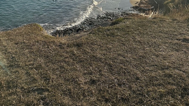 A coastal landscape with a beach, ocean, and grassy terrain. - Life by the sea! Enjoy tranquil views and all-day sun. (Kakanui)