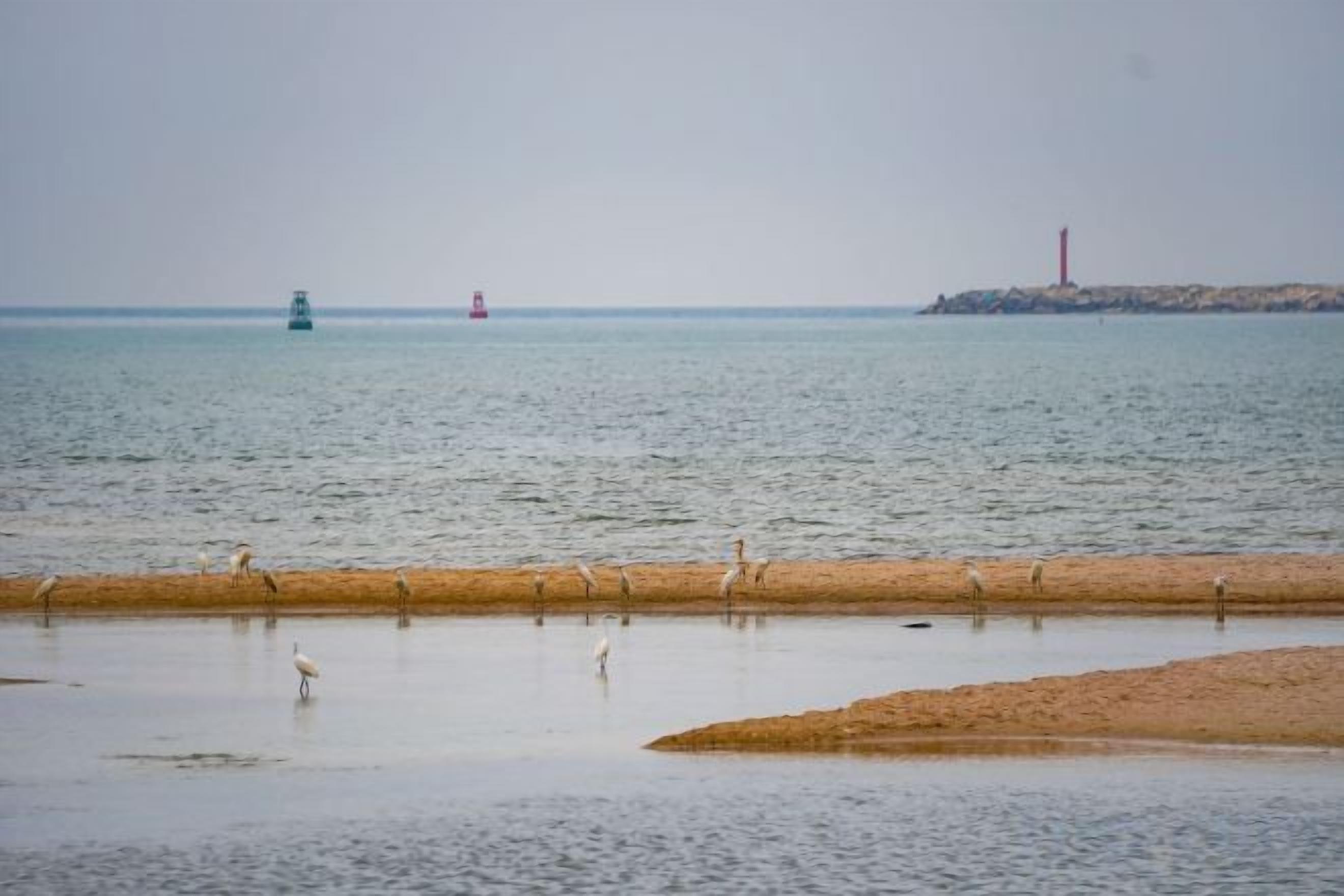 A beach with calm water, a sandy shore, and a distant lighthouse.