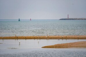 A beach with calm water, a sandy shore, and a distant lighthouse. - Tianlun Hotel Shanwei Honghaiwan (Shanwei)