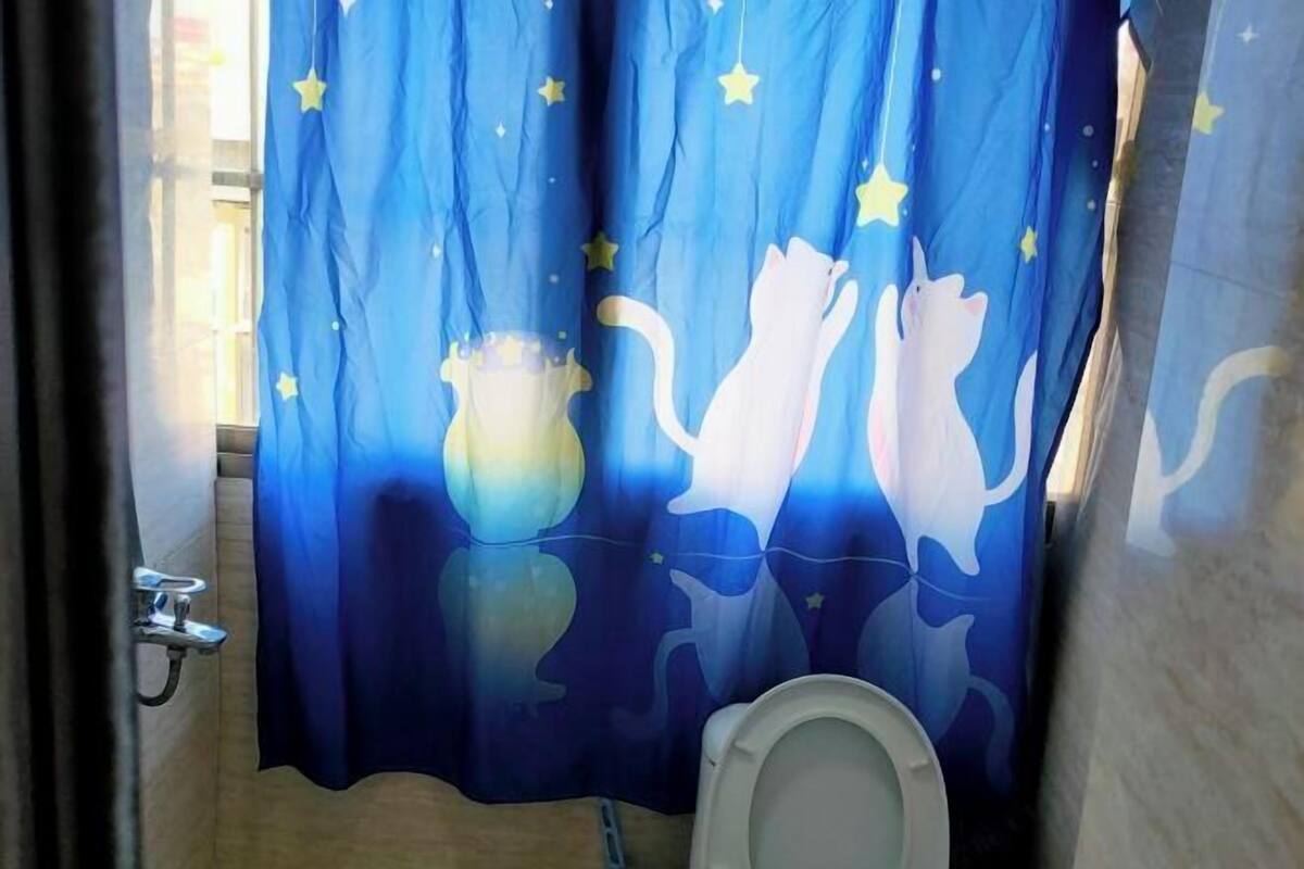 A bathroom with a blue shower curtain featuring a cat and moon design, a white toilet, and a visible showerhead.