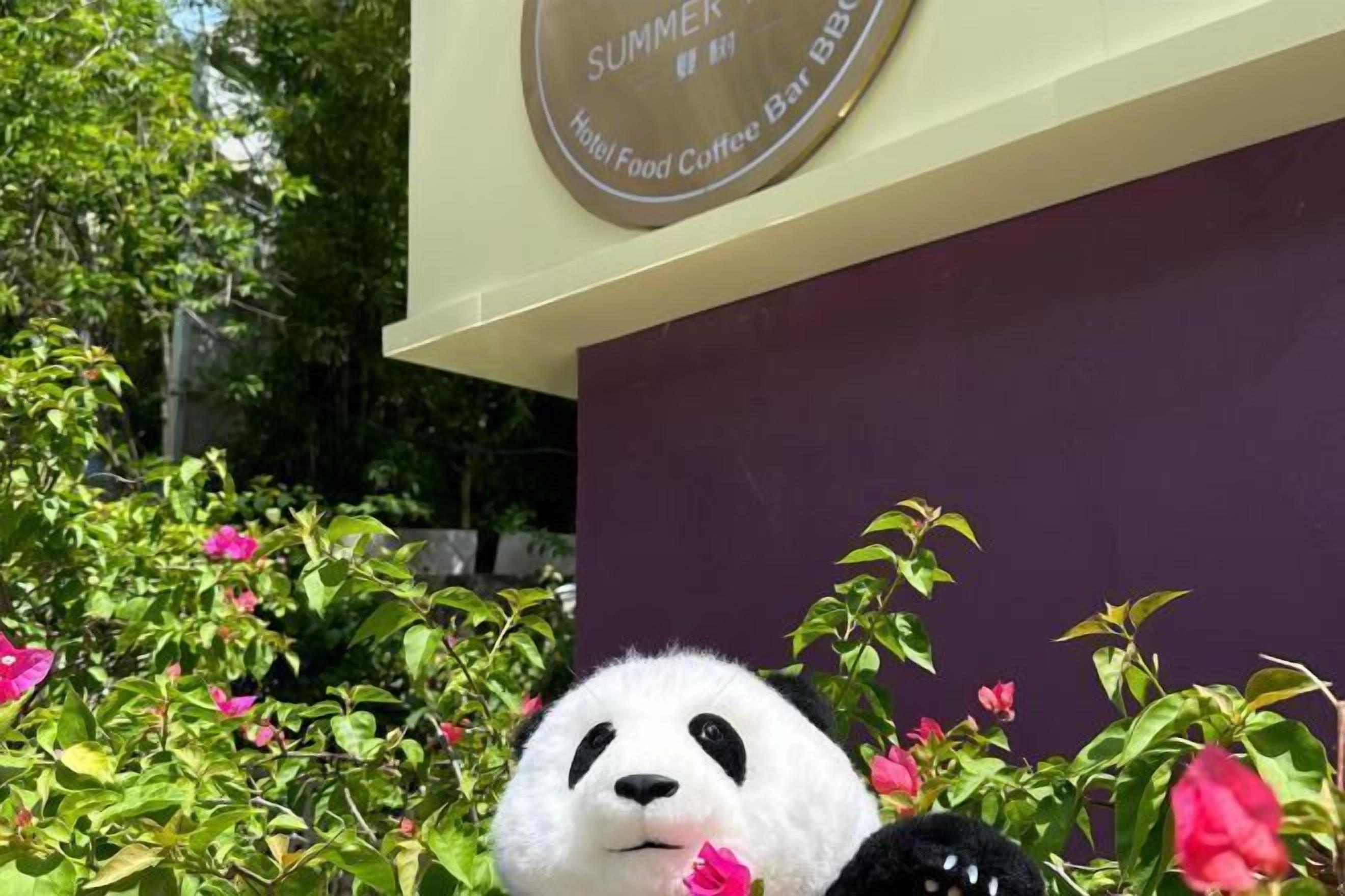 Un peluche de panda frente a un letrero que dice 'SUMMER Hotel Food Coffee Bar BBQ'.