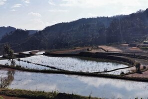 Terraced rice fields with a water body in the foreground. - Xiaoluo Ha'ni Titian Sheying Zhijia Hostel (Yuanyang)