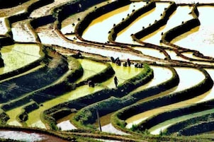 Campos agrícolas escalonados con senderos curvos y pequeños grupos de personas.