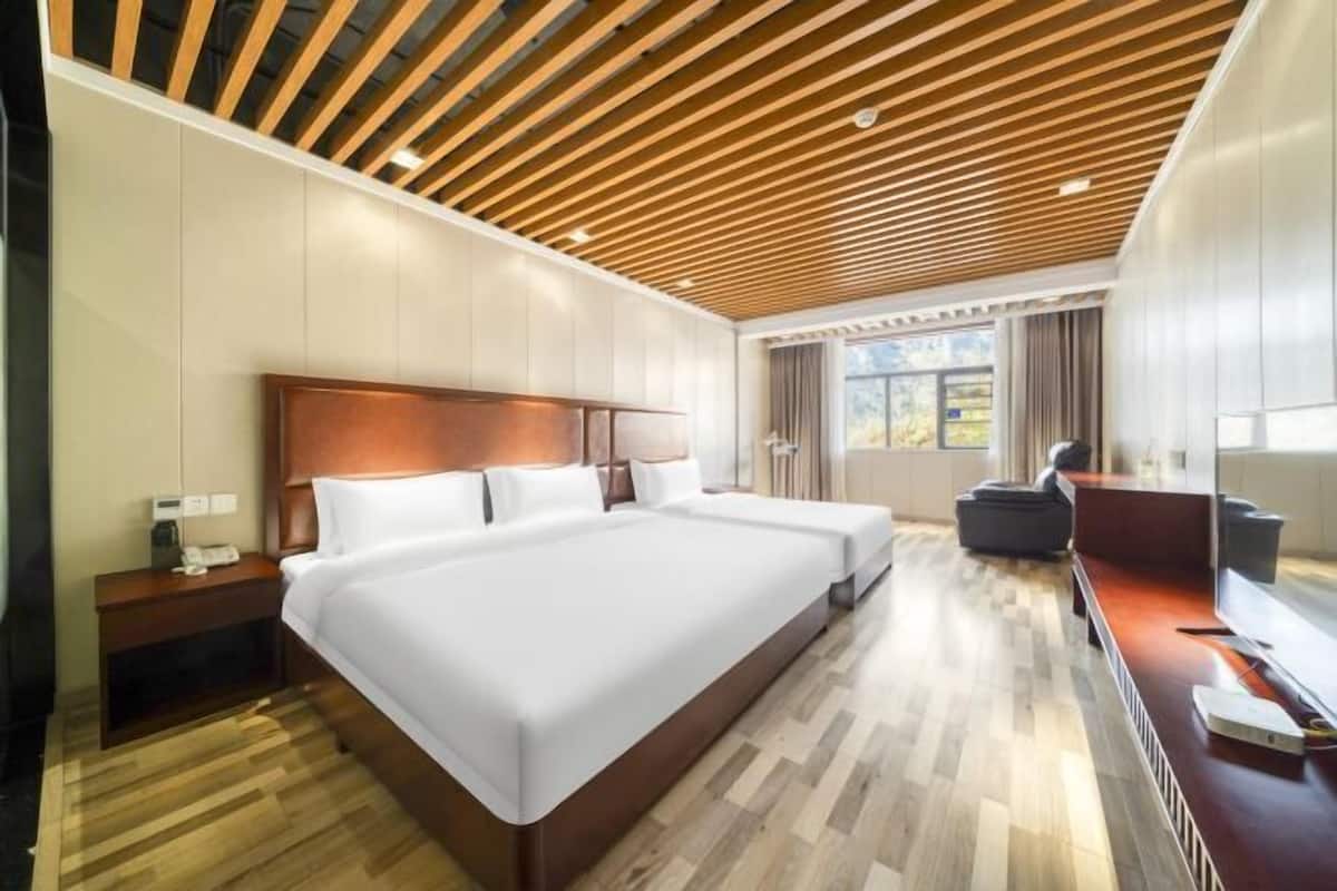 Habitación de hotel moderna con una cama grande, un escritorio y un televisor.