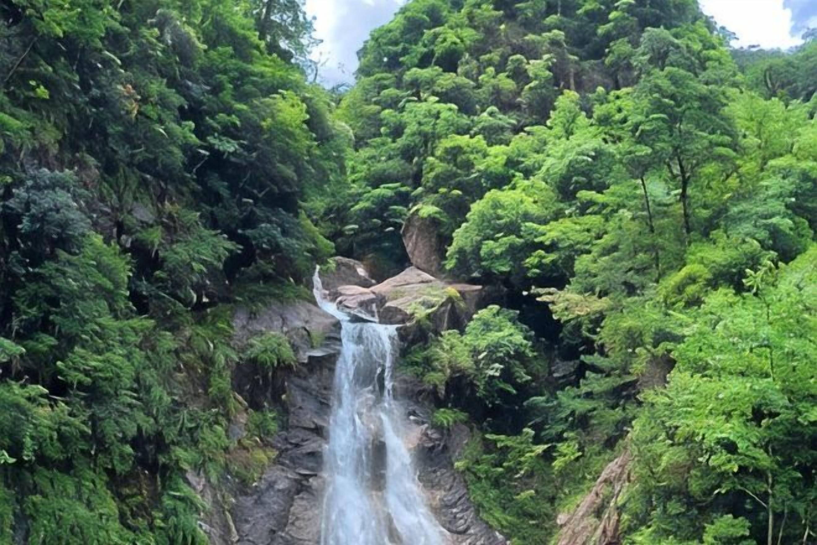 Une cascade entourée d’un feuillage verdoyant et luxuriant.