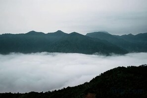 Photo non classée, 3 sur 74, bouton