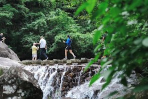 A natural setting with a waterfall and people walking on a stone bridge.