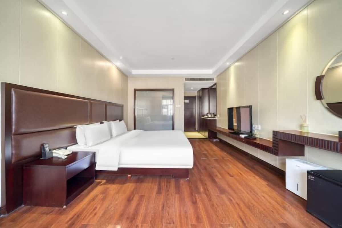 Habitación de hotel con una cama grande, televisión, refrigerador pequeño y un espejo en la pared.