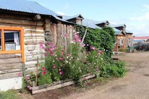 Una cabaña rústica de madera con ventana y un jardín lleno de flores.