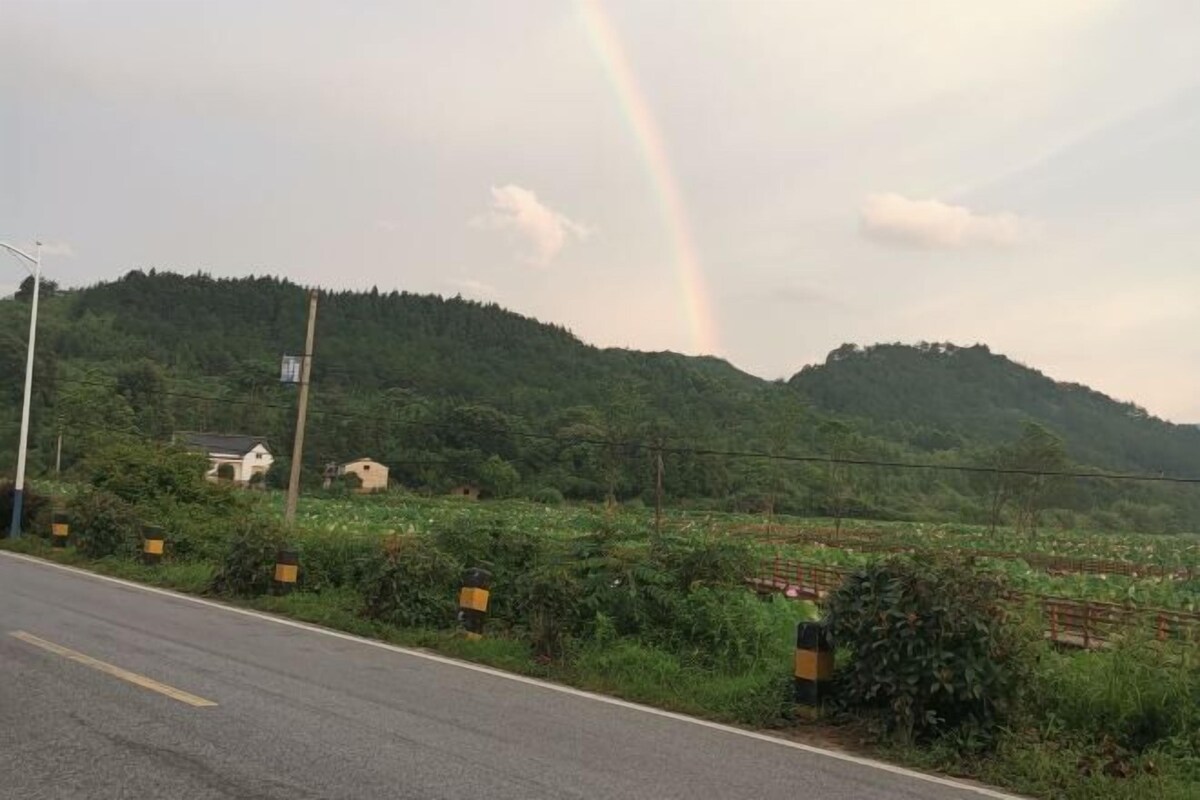 Une route bordée d’un arc-en-ciel, de verdure et, au loin, d’un petit bâtiment.