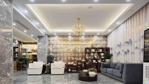 Un salon moderne agrémenté d’un lustre, d’une cheminée et d’une bibliothèque remplie de livres.