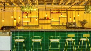 Un área de bar con paredes de azulejos verdes, plantas colgantes y taburetes.
