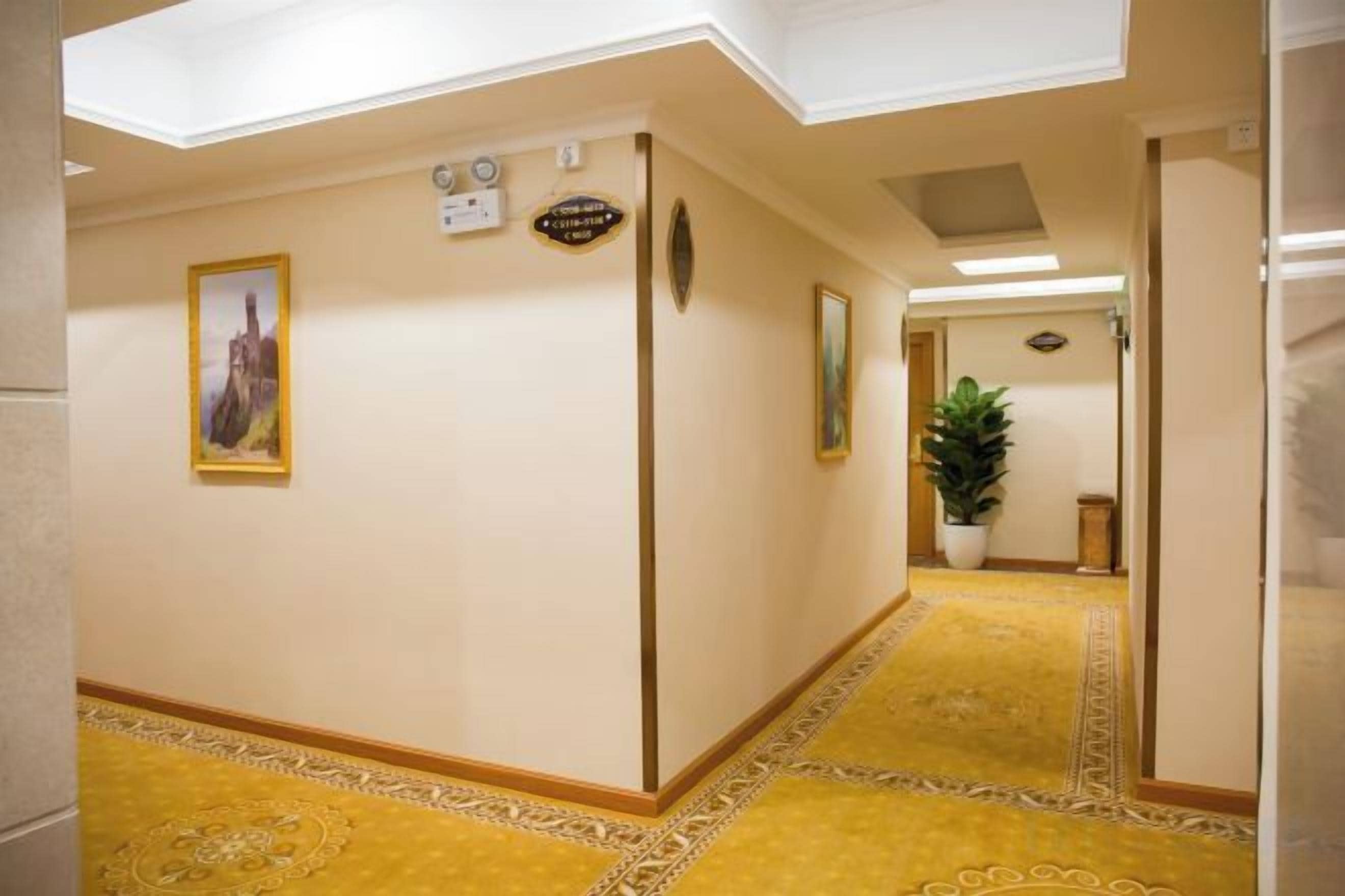 A hallway with patterned carpet, a potted plant, and a framed picture on the wall.