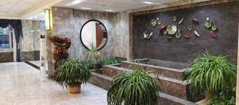Seven Hotels