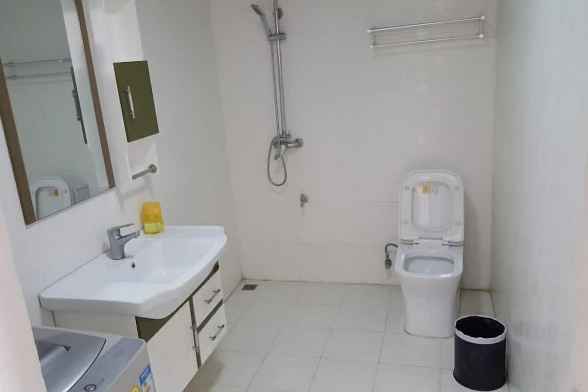 Een kleine badkamer met een witte wastafel, toilet en douche.