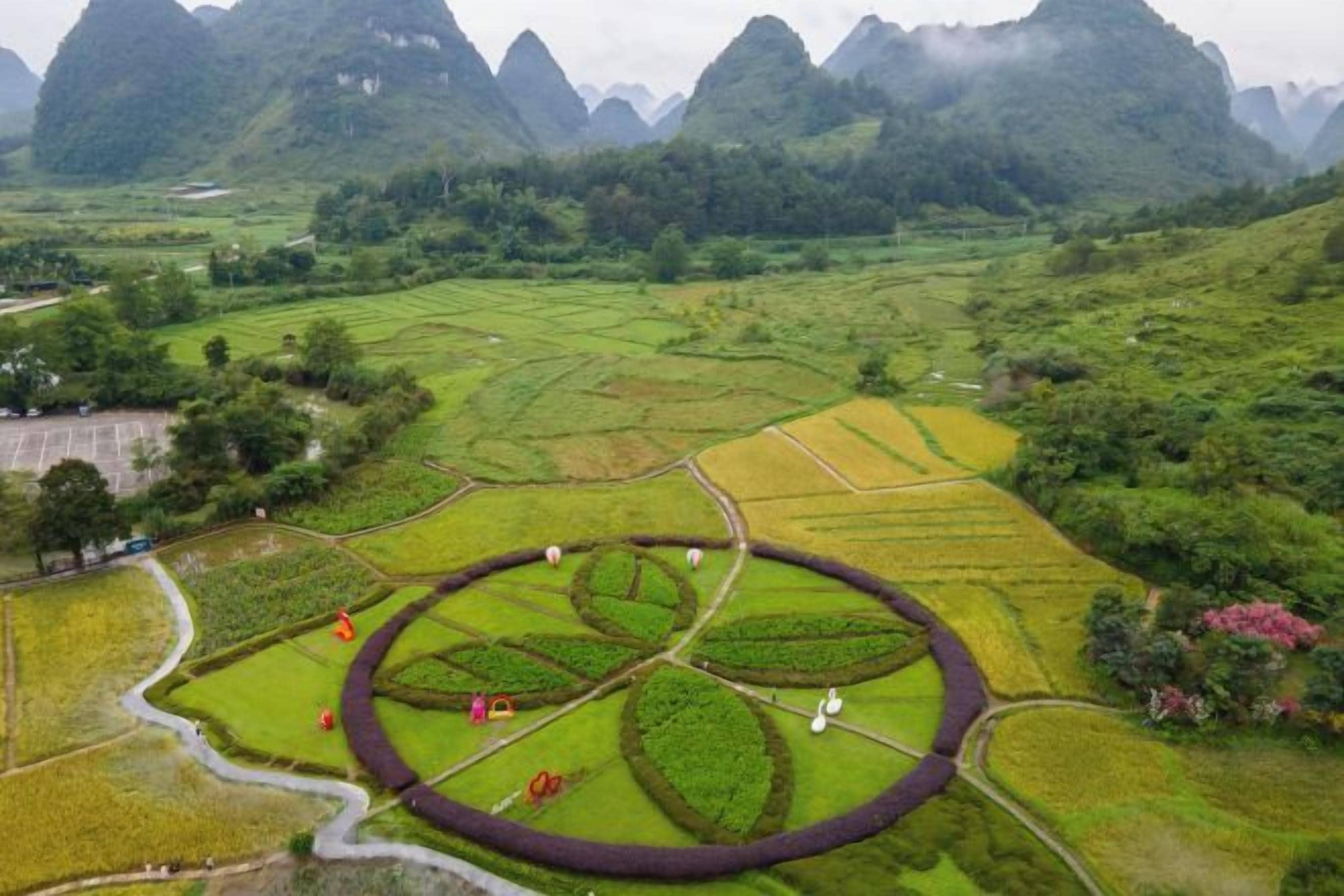 A terraced rice field with a circular pattern, surrounded by green hills and mountains.