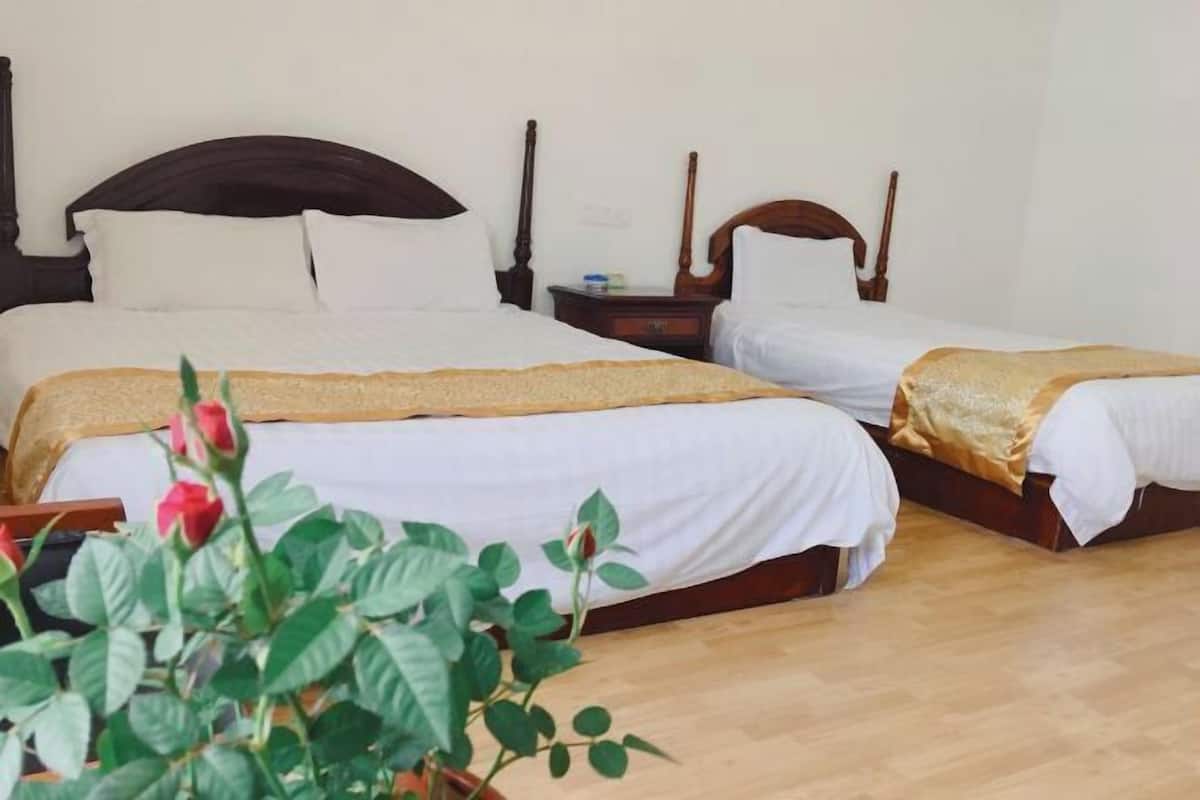 A hotel room with two beds, wooden headboards, white bedding, and a potted plant.