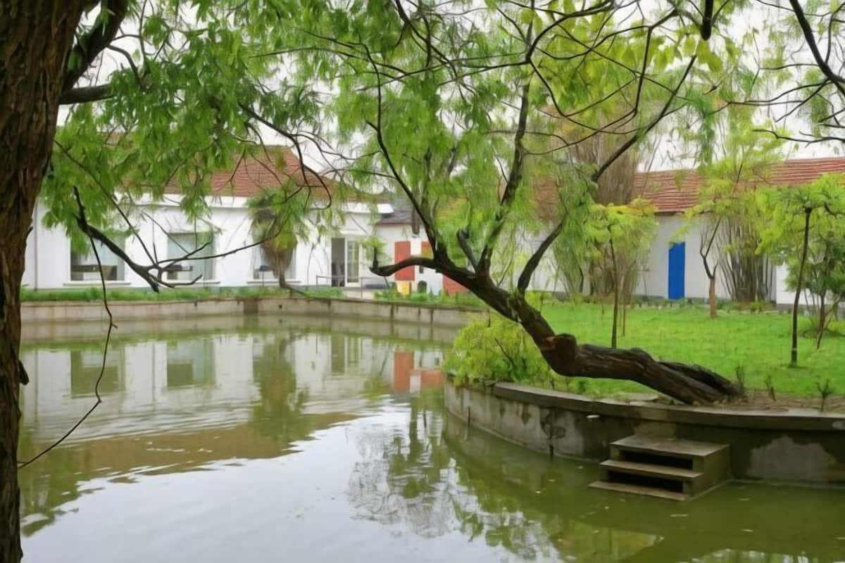 A pond with a tree branch overhanging, surrounded by buildings with red roofs.