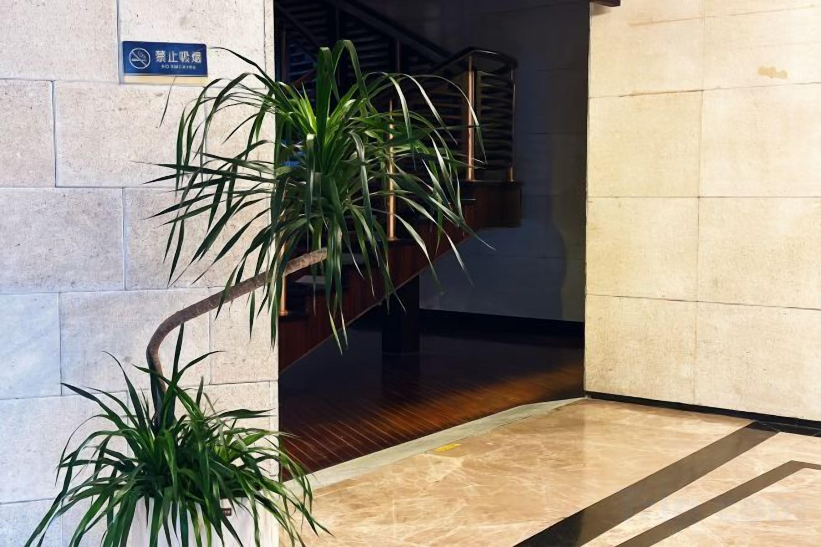 A corner with a potted plant, a sign, and a staircase.
