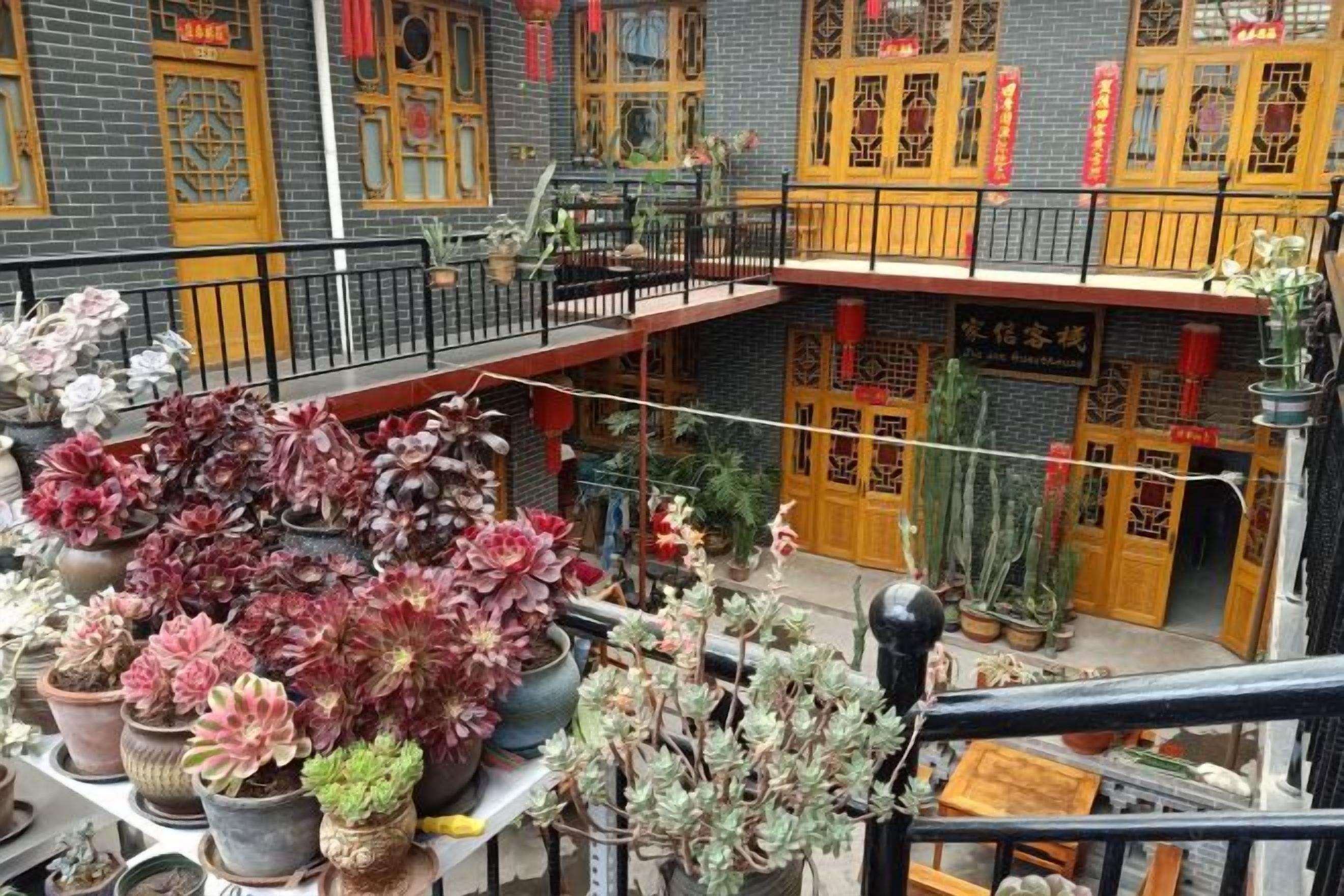 Un patio con plantas en macetas y un edificio tradicional con puertas y ventanas amarillas.
