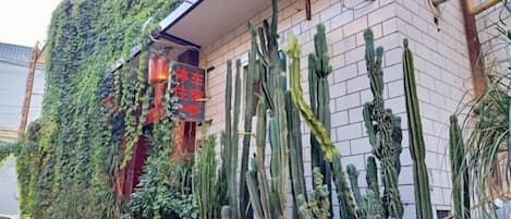A building with a brick facade, a vertical garden, and multiple potted cacti.