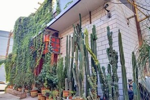 Un edificio con fachada de ladrillo, jardín vertical y varios cactus en macetas.