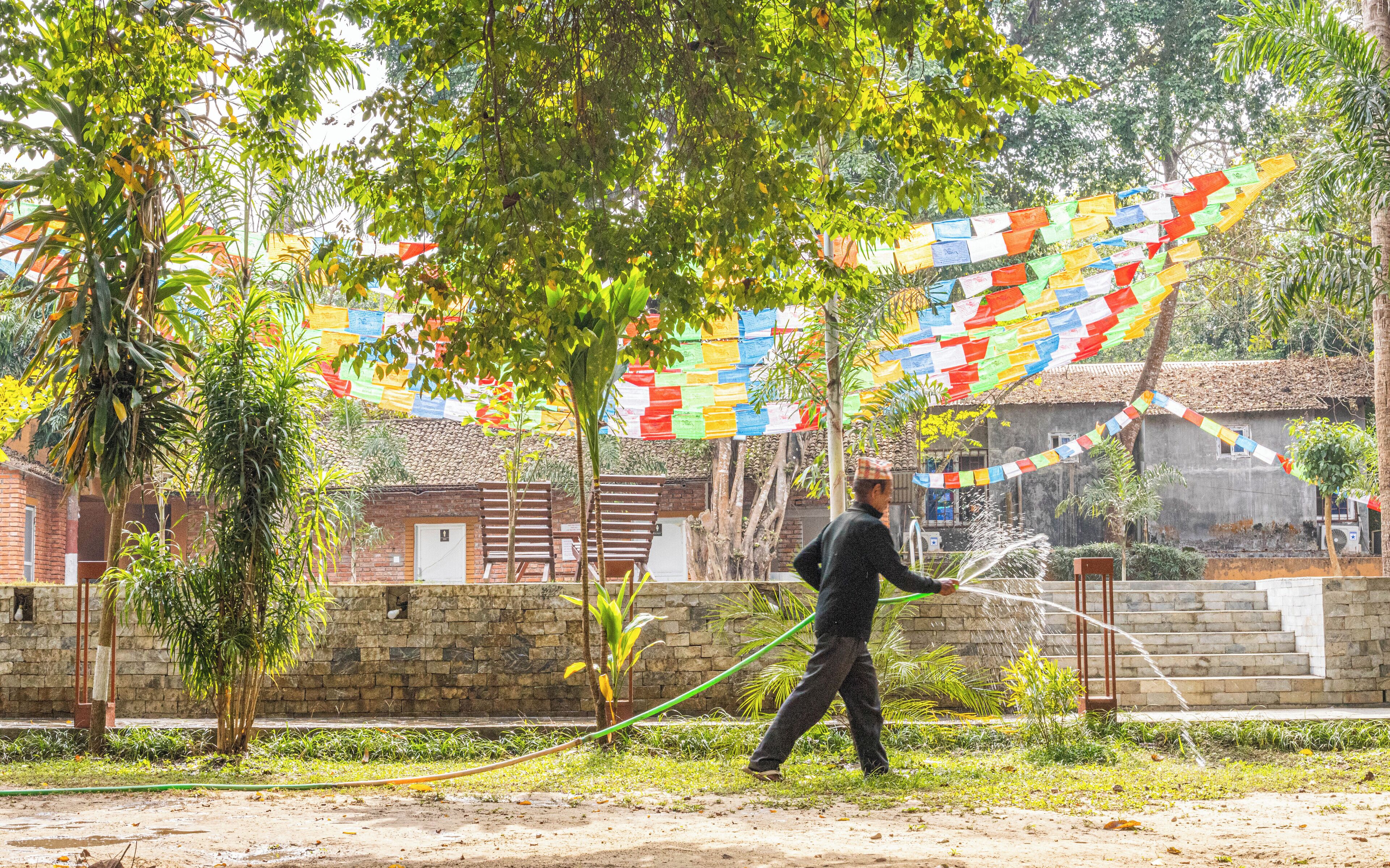 A person watering plants in a courtyard with colorful flags.