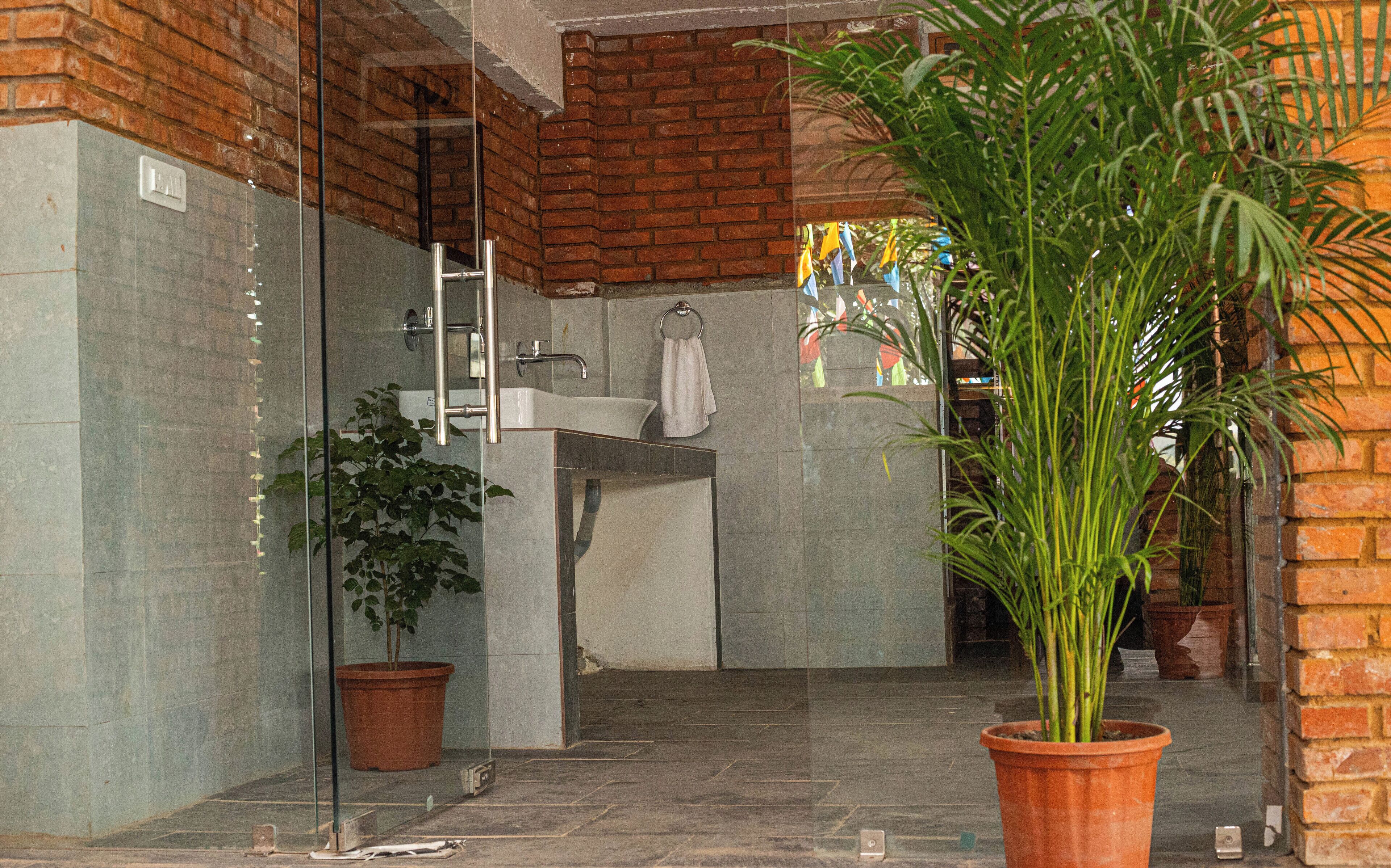 Baño con mampara de vidrio, lavamanos y espejo. Se observan dos plantas en macetas y un perchero para toallas.