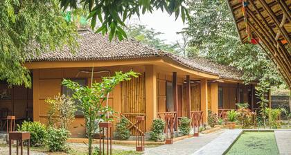 Jungle Adventure World Hotel Pvt. Ltd