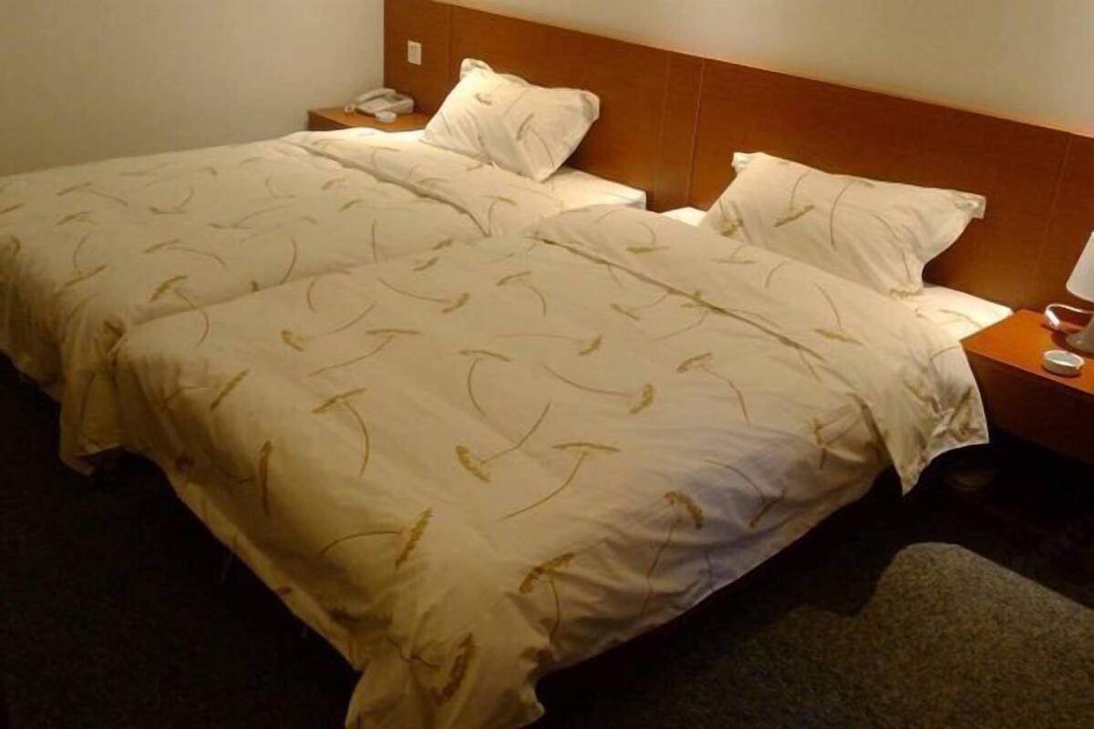 A double bed with a headboard, a bedside table with a lamp, and a telephone.