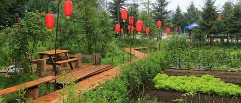 A wooden deck with benches, surrounded by greenery and red lanterns.