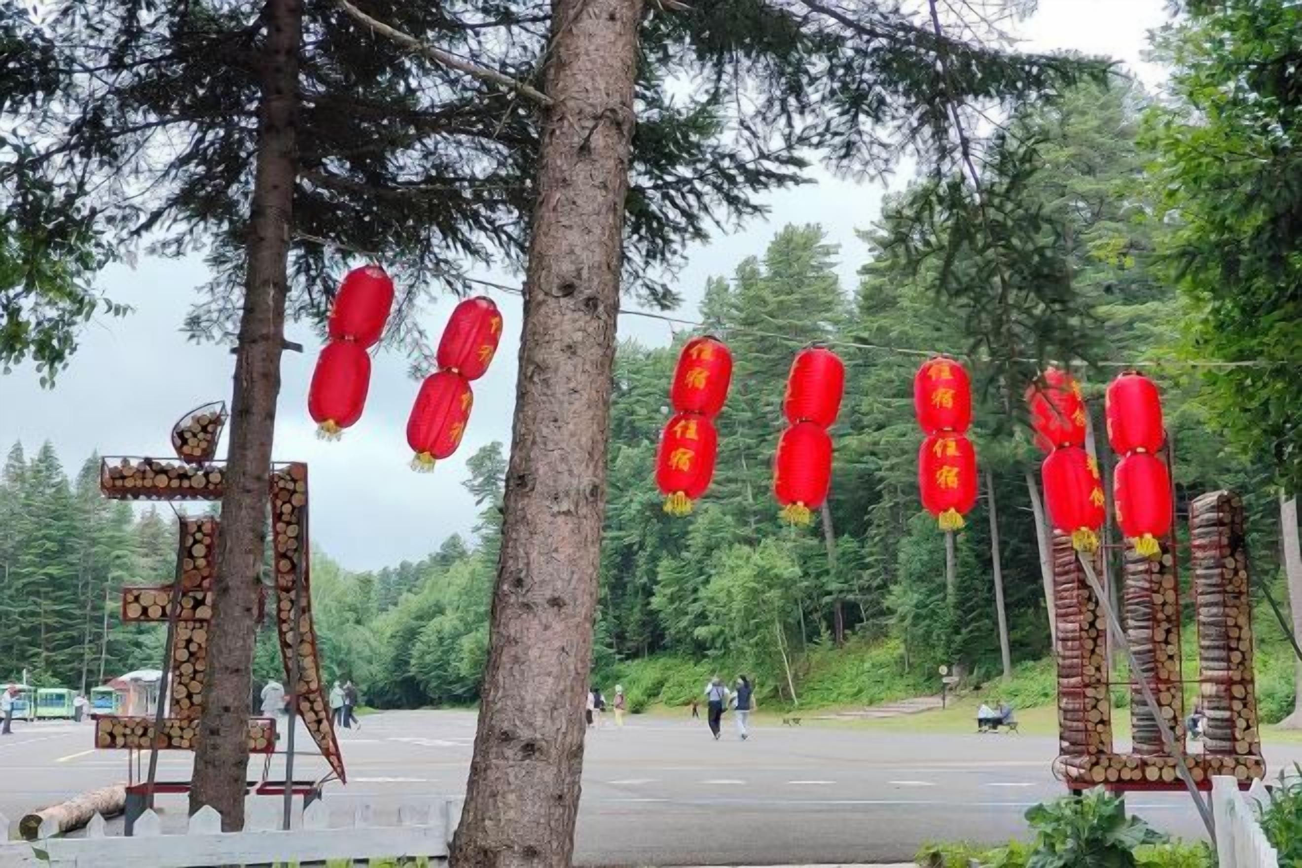 A parking area with trees and red lanterns.