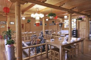 Un interior de madera con comedor, mesas, sillas y plantas colgantes.