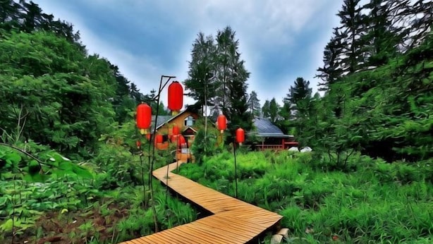 A wooden pathway leading to a house surrounded by greenery. - Senlinyu Villa (Fenglin County)