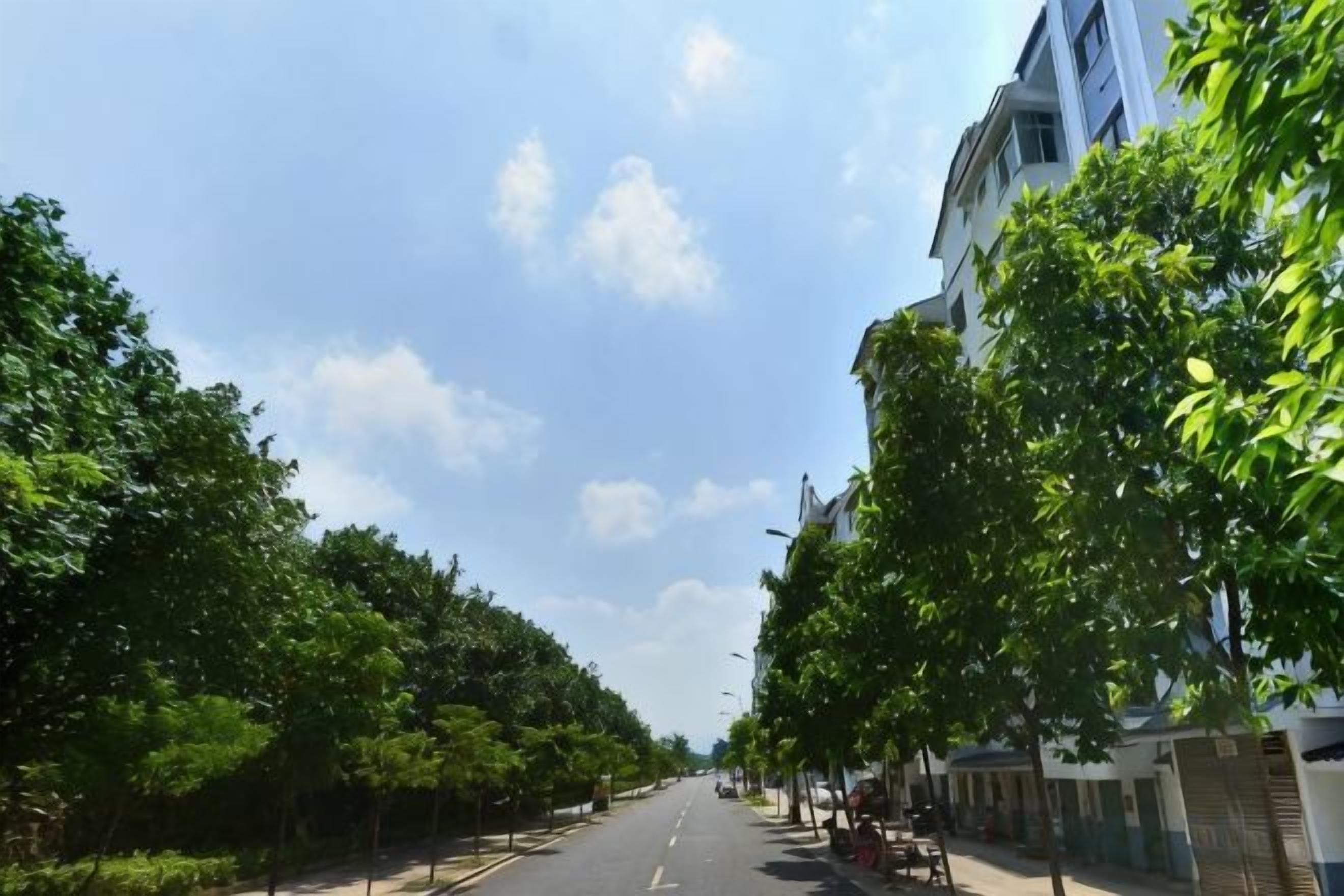 A tree-lined street with buildings on both sides.
