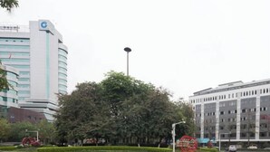 A modern building with a curved facade, a large tree in the foreground, and a street with a crosswalk.