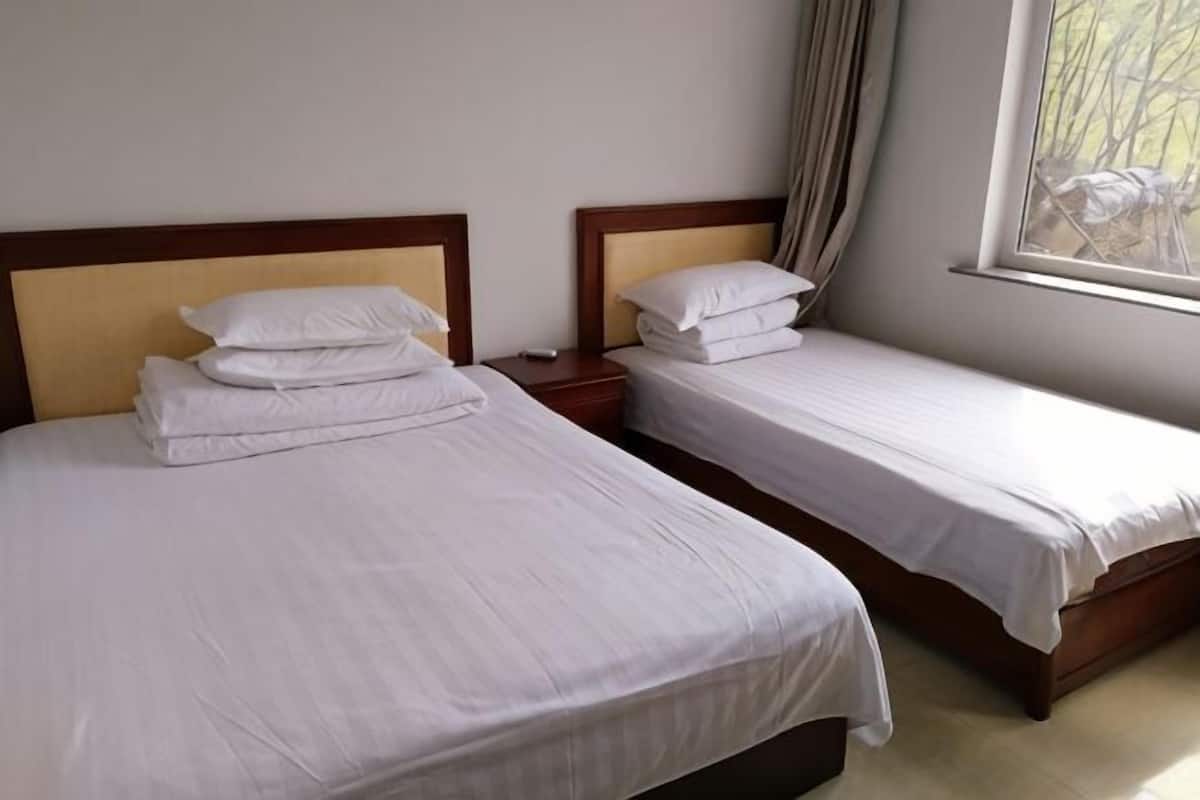 Two single beds with wooden headboards, a nightstand, and a window with a view of trees.