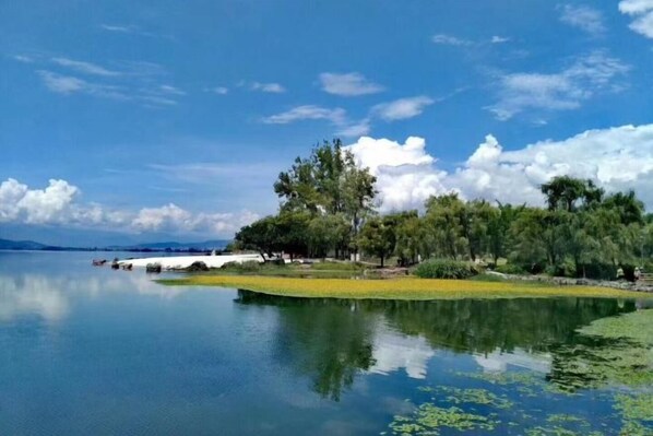 A serene lake with a clear reflection, surrounded by lush greenery and trees.