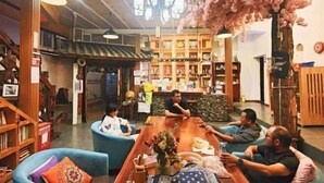 A cozy interior with a wooden table, blue armchairs, and a decorative cherry blossom tree. - Xi Chang Blooming Azalea Hostel (Xichang)