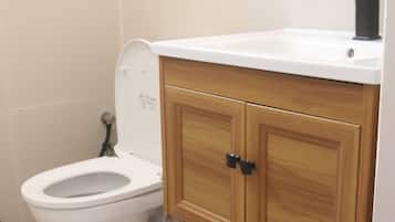 Shower, hair dryer, bidet, towels