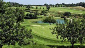 A golf course with a pond, trees, and a clear sky.