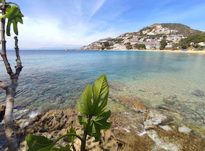 Vista desde la propiedad