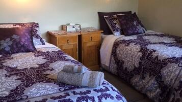 A bedroom with two beds, each with patterned bedding and pillows, a nightstand with a lamp, and a wall-mounted light fixture.