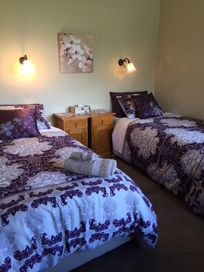 Habitación con 1 cama doble o 2 individuales, vistas al jardín | Sistema de insonorización y wifi gratis