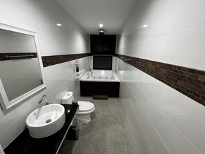 Hair dryer, towels, soap, toilet paper