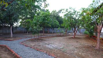 A garden with gravel paths and trees, a brick wall, and a metal fence.