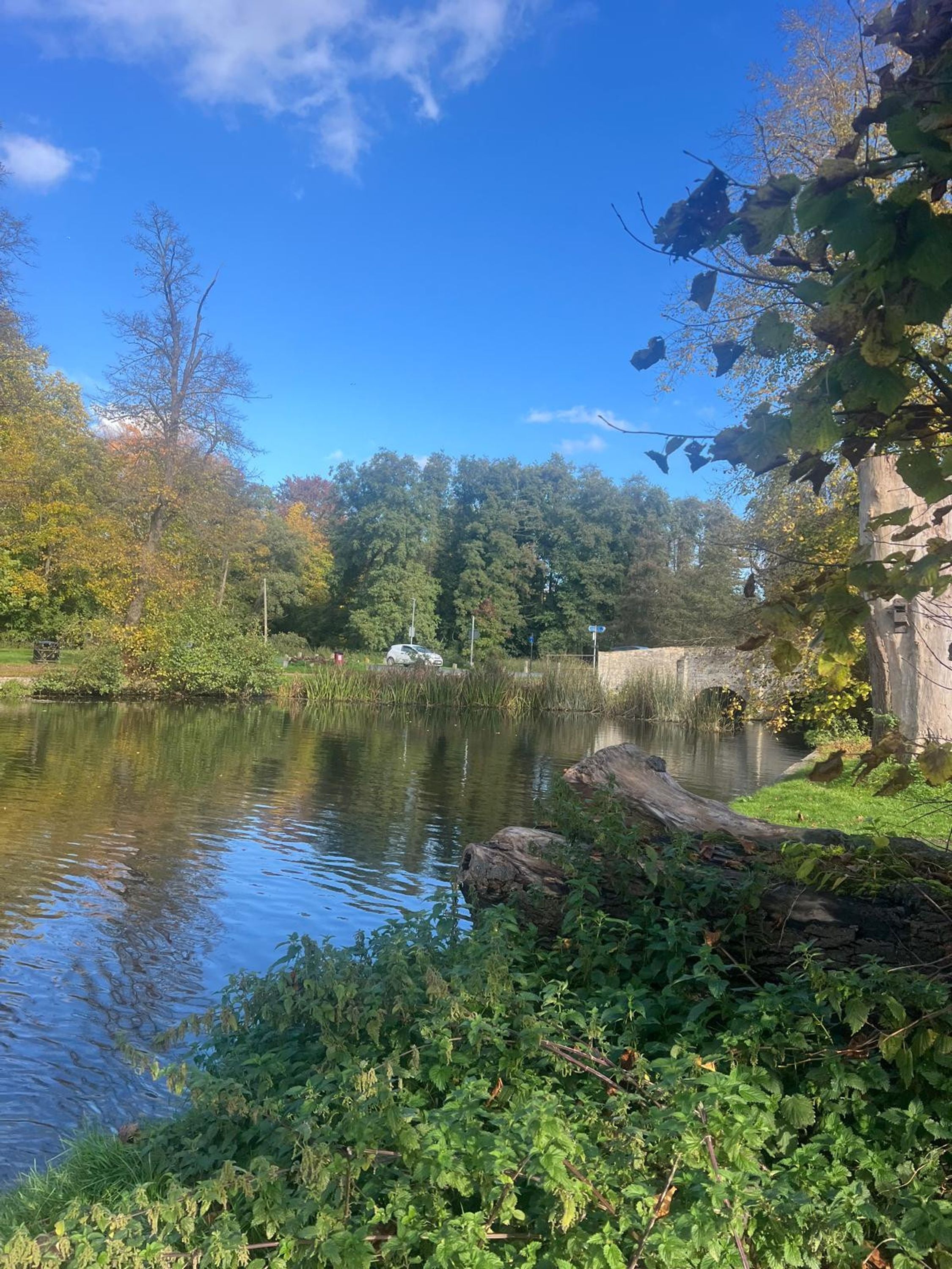 Un entorno tranquilo junto al río con un muro de piedra, abundante vegetación y un cielo azul despejado.