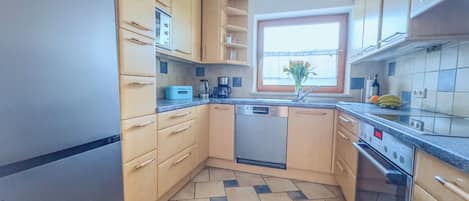 Fridge, oven, stovetop, dishwasher