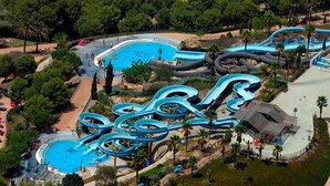 An aerial view of a water park with multiple slides and a central pool area surrounded by trees.