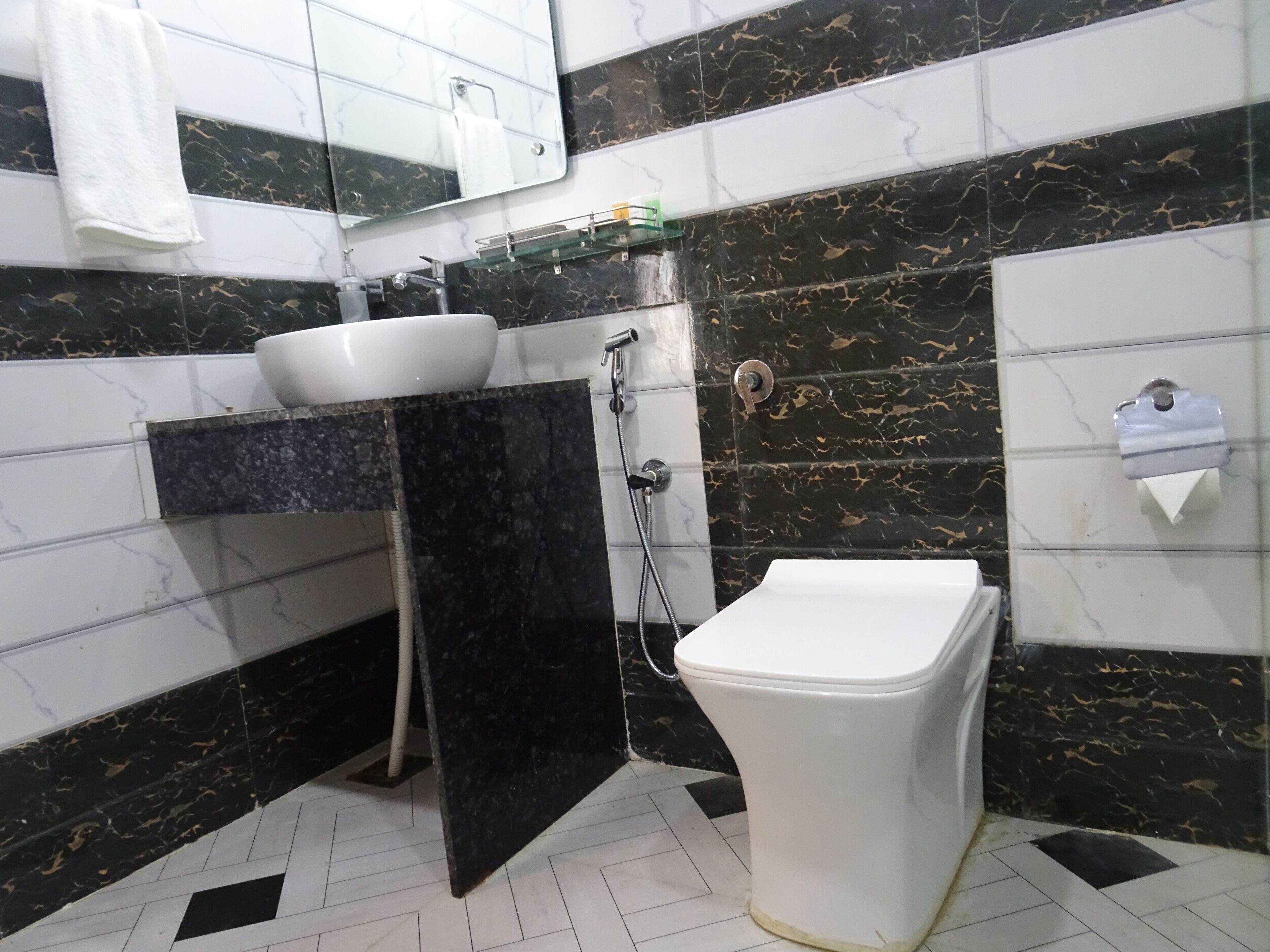 Een badkamer met een wit toilet, een wastafel, een handdouche en een zeepdispenser.